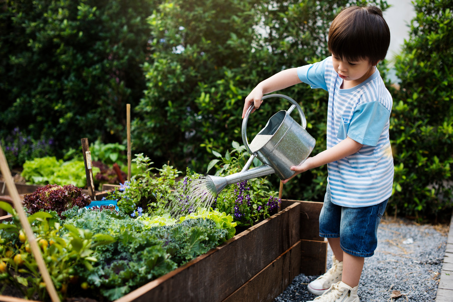 How to Start Gardening with your Kids on a Shoestring Budget