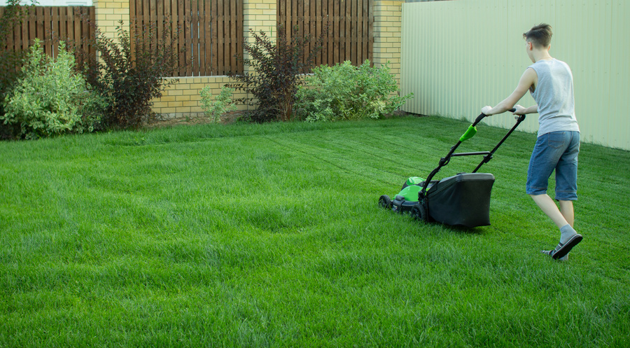 Teach Your Child How To Mow The Lawn