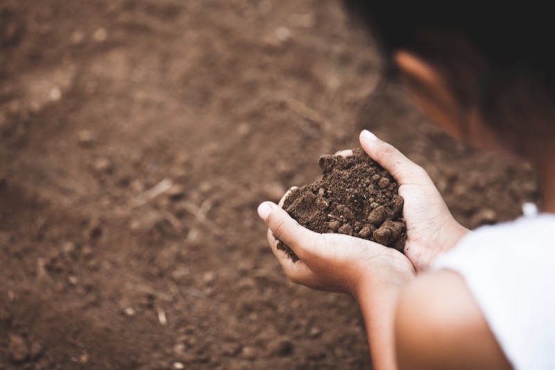 Life skill - Checking nutrient levels of soil